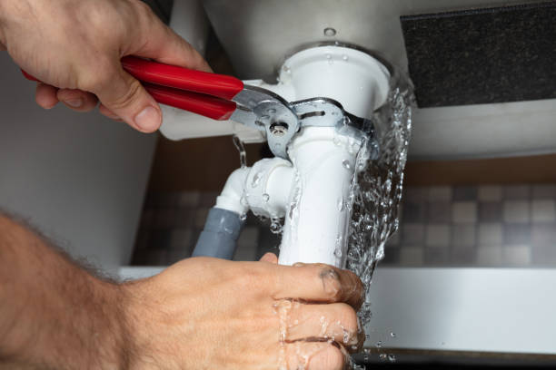 Best Mold removal after water damage  in Dublin, VA