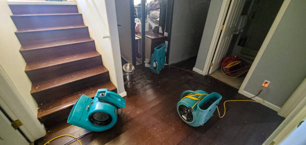 Best Water damage restoration near me  in Dublin, VA