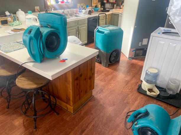 Best Water damage cleanup near me  in Dublin, VA