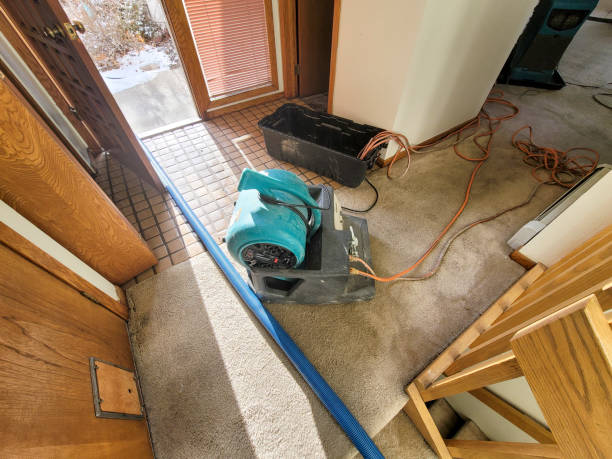Best Residential water damage restoration  in Dublin, VA