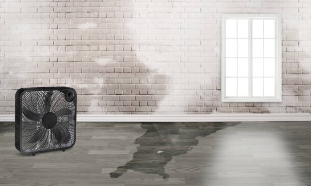 Local water damage restoration in Dublin, VA