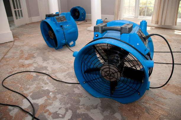 Best Water damage cleanup near me  in Dublin, VA
