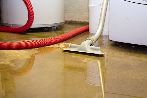 Reliable Dublin, VA Water damage restoration Solutions