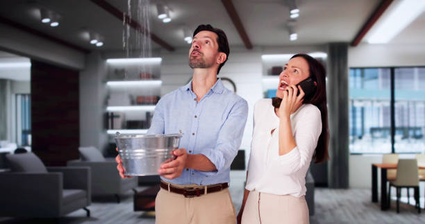 Best Local water damage restoration  in Dublin, VA